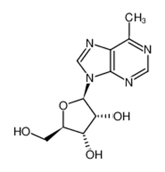 Picture of 6-METHYLPURINE RIBOSIDE