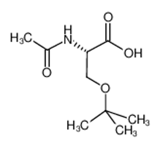 Picture of (2S)-2-acetamido-3-[(2-methylpropan-2-yl)oxy]propanoic acid