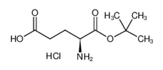 Picture of H-Glu-OtBu