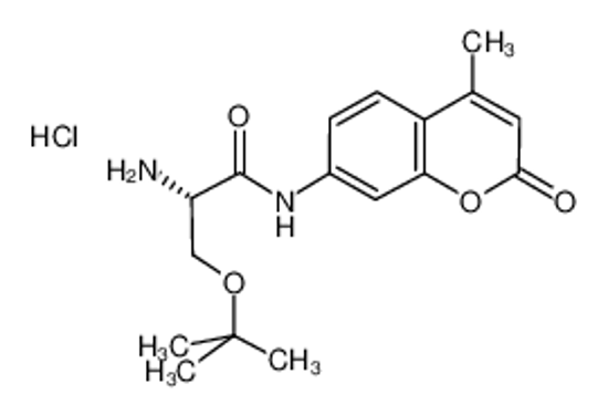 Picture of H-Ser(tBu)-AMC.HCL
