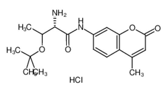 Picture of H-Thr(tBu)-AMC.HCL