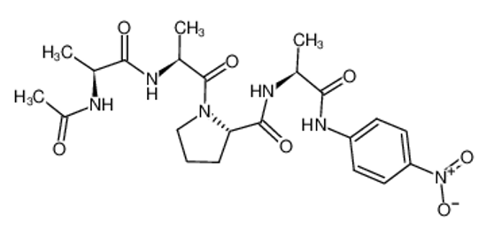 Изображение Ac-Ala-Ala-Pro-Ala-pNA