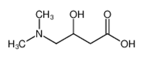 Изображение 4-(DIMETHYLAMINO)-3-HYDROXYBUTANOIC ACID