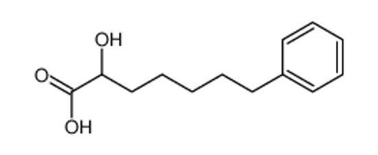 Picture of 2-hydroxy-7-phenylheptanoic acid