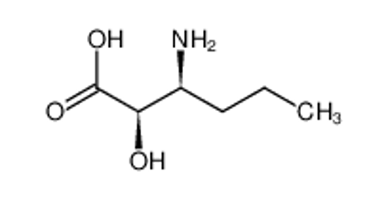 Picture of (2R,3S)-3-AMINO-2-HYDROXYHEXANOIC ACID