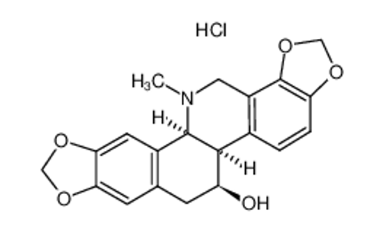 Picture of (+)-CHELIDONINE HYDROCHLORIDE