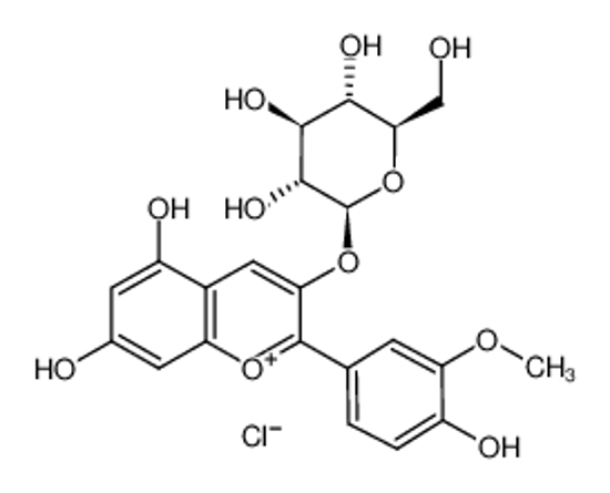Изображение (2S,3R,4S,5S,6R)-2-[5,7-dihydroxy-2-(4-hydroxy-3-methoxyphenyl)chromenylium-3-yl]oxy-6-(hydroxymethyl)oxane-3,4,5-triol,chloride
