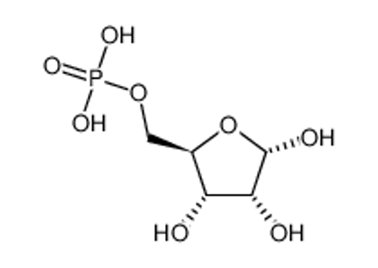 Picture of α-D-Ribose-5-phosphate
