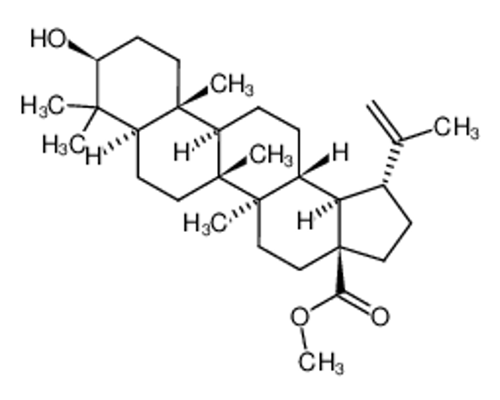 Picture of methyl (1R,3aS,5aR,5bR,7aR,9S,11aR,11bR,13aR,13bR)-9-hydroxy-5a,5b,8,8,11a-pentamethyl-1-prop-1-en-2-yl-1,2,3,4,5,6,7,7a,9,10,11,11b,12,13,13a,13b-hexadecahydrocyclopenta[a]chrysene-3a-carboxylate