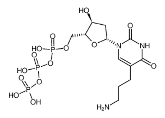 Picture of [[(2R,3S,5R)-5-[5-(3-aminopropyl)-2,4-dioxopyrimidin-1-yl]-3-hydroxyoxolan-2-yl]methoxy-hydroxyphosphoryl] phosphono hydrogen phosphate