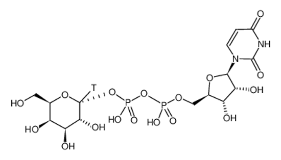 Picture of URIDINE 5'-DIPHOSPHO-GALACTOSE-[GALACTOSE-1-3H(N)]