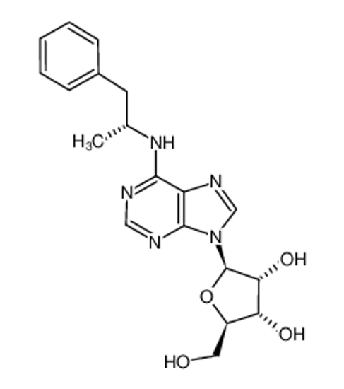 Picture of (?)-N6-(2-Phenylisopropyl)adenosine