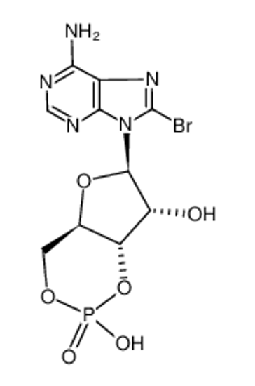 Picture of 8-bromo-3',5'-cyclic AMP