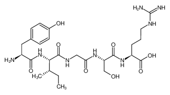 Изображение TYR-ILE-GLY-SER-ARG