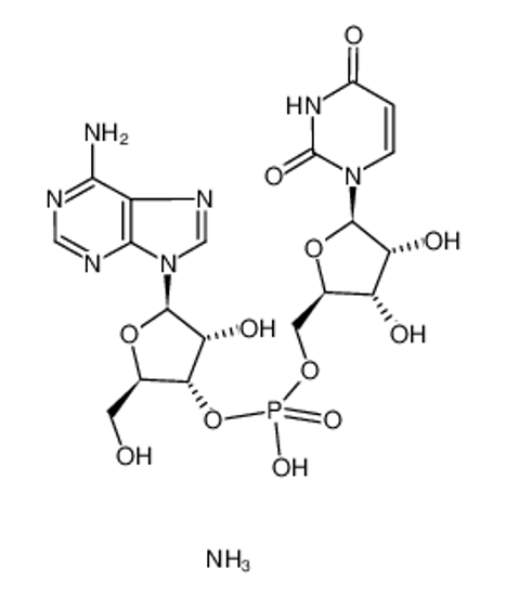 Изображение ADENYLYL(3'-5')URIDINE AMMONIUM SALT