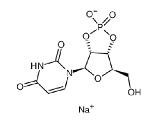 Picture of Uridine-2',3'-cyclic Monophosphate Sodium Salt