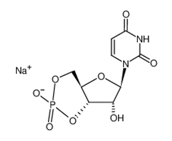 Picture of URIDINE-3',5'-CYCLIC MONOPHOSPHATE SODIUM SALT
