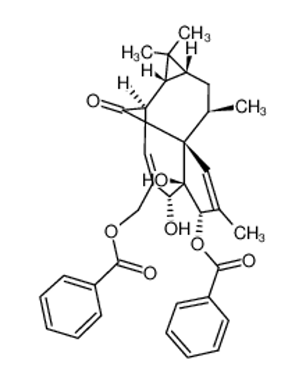 Picture of INGENOL 3,20-DIBENZOATE