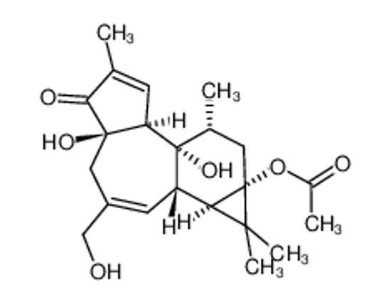 Imagem de 12-DEOXYPHORBOL 13-ACETATE