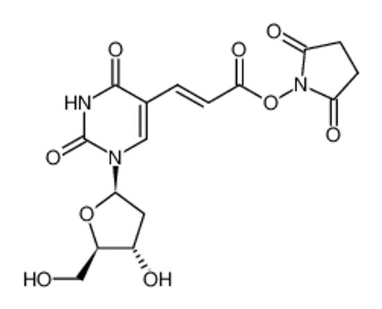 Picture of (E)-5-[2-(2-CARBOXYVINYL)]-2'-DEOXYURIDINE N-HYDROXY-SUCCIMIDE ESTER