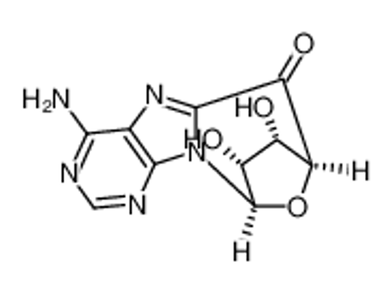Picture of 5'-OXO-8,5'-CYCLOADENOSINE