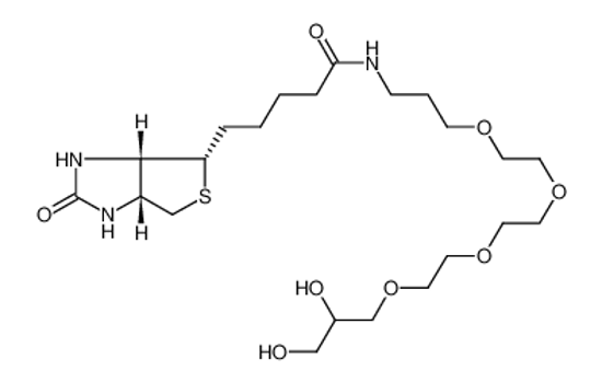 Picture of 3-((N-BIOTINYL-3-AMINOPROPOXY(ETHOXY)ETHOXY)ETHOXY)-PROPANE-1,2-DIOL