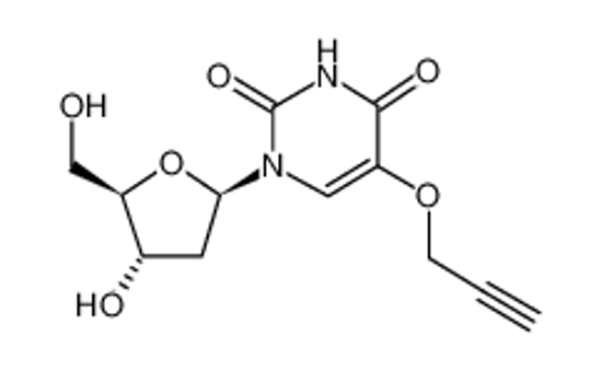 Picture of 5-(PROPARGYLOXY)-2'-DEOXYURIDINE