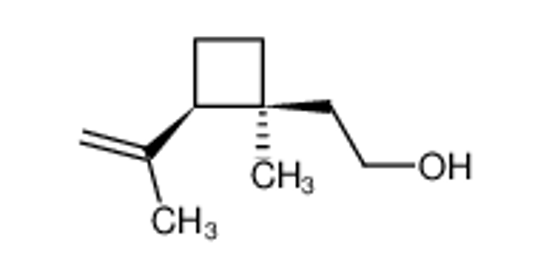 Picture of (3|A)-3,17-dihydroxy-18,20-epoxylanosta-7,9(11)-dien-18-one