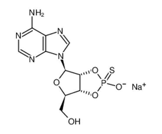 Picture of ADENOSINE-2',3'-CYCLIC MONOPHOSPHOROTHIOATE, ENDO/RP-ISOMER SODIUM SALT