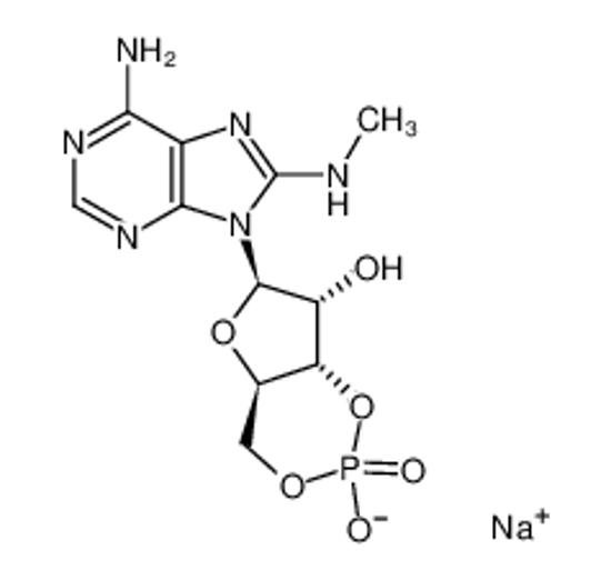 Picture of 8-MA-CAMP SODIUM SALT