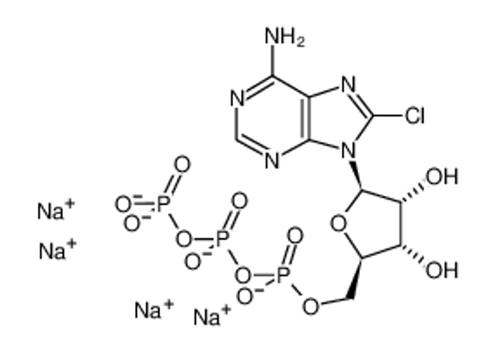 Picture of 8-CHLOROADENOSINE-5'-O-TRIPHOSPHATE SODIUM SALT