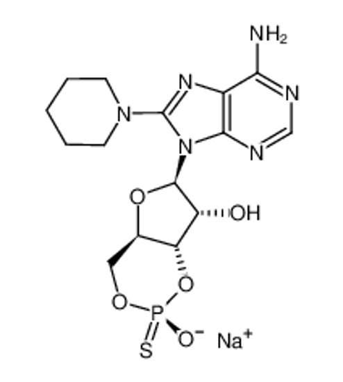 Picture of 8-PIPERIDINOADENOSINE-3',5'-CYCLIC MONOPHOSPHOROTHIOATE, RP-ISOMER SODIUM SALT