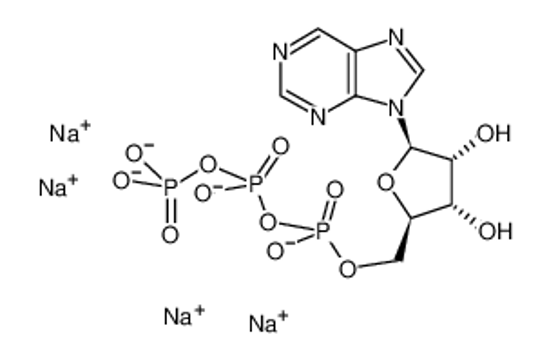 Picture of PURINE RIBOSIDE-5'-O-TRIPHOSPHATE SODIUM SALT