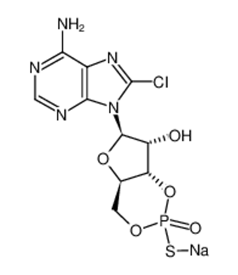 Picture of 8-CHLOROADENOSINE-3',5'-CYCLIC MONOPHOSPHOROTHIOATE, SP-ISOMER SODIUM SALT