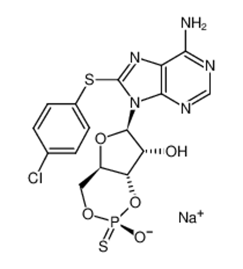 Picture of 8-(4-Chlorophenylthio)adenosine-3′,5′-cyclic Monophosphorothioate, Rp-isomer sodium salt