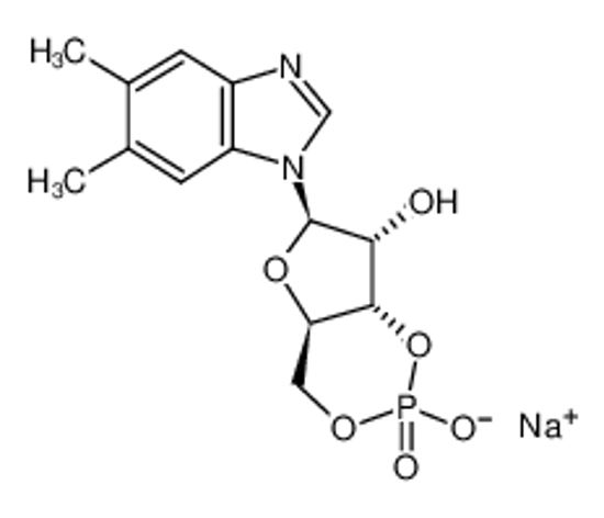 Picture of 5,6-DIMETHYL-1-β-D-RIBOFURANOSYLBENZIMIDAZOLE-3',5'-CYCLIC MONOPHOSPHATE,SODIUM SALT