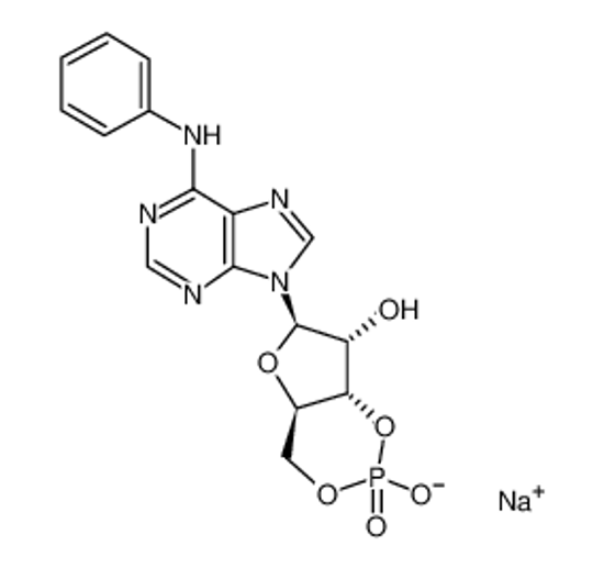 Picture of 6-PHE-CAMP SODIUM SALT