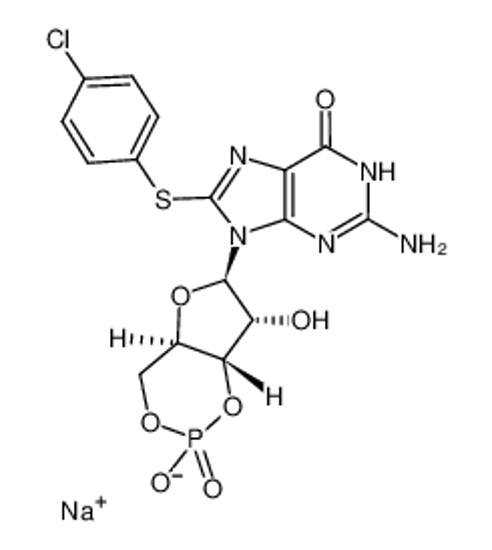 Picture of 8-(4-Chlorophenylthio)-guanosine 3′,5′-cyclic monophosphate sodium salt