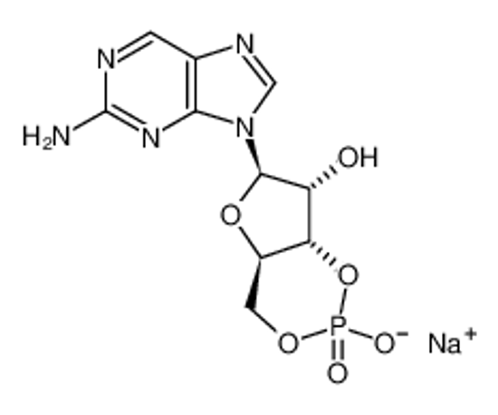 Picture of 2-AMINOPURINE RIBOSIDE-3',5'-CYCLIC MONOPHOSPHATE SODIUM SALT