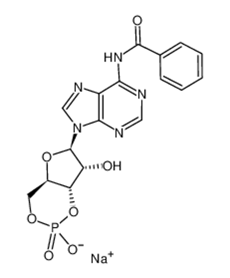 Picture of N6-Benzoyladenosine-3′,5′-cyclic monophosphate sodium salt