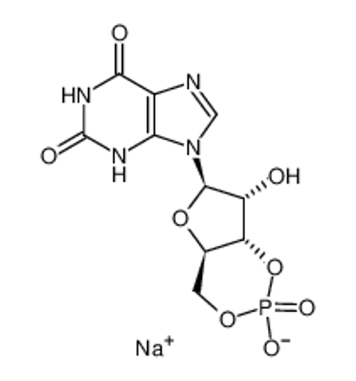 Изображение Xanthosine 3′,5′-cyclic monophosphate