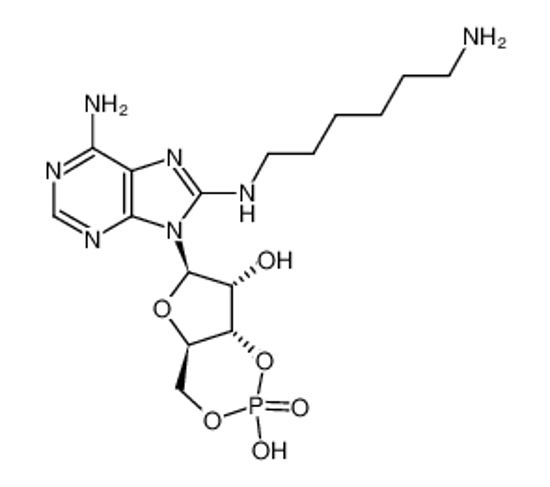 Picture of 8-(6-Aminohexyl)aminoadenosine 3′:5′-cyclic monophosphate
