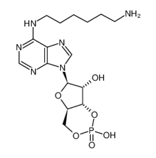 Picture of [(2R,3S,5R)-5-[6-[(Z)-6-aminohexylideneamino]purin-9-yl]-3-hydroxyoxolan-2-yl]methyl dihydrogen phosphate