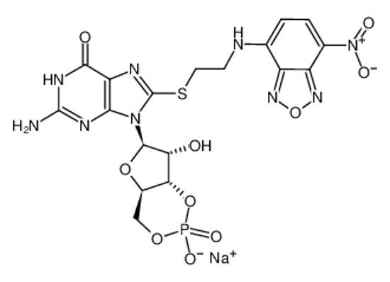 Picture of 8-(2-[7-NITRO-4-BENZOFURAZANYL]AMINOETHYLTHIO]GUANOSINE-3',5'-CYCLIC MONOPHOSPHATE SODIUM SALT