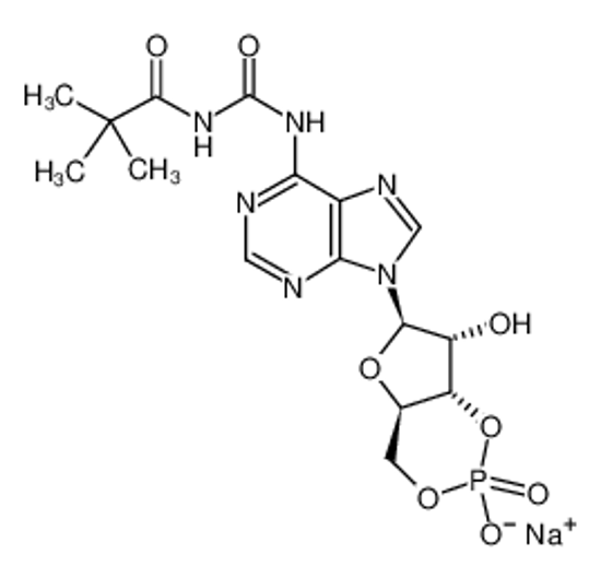 Picture of 6-MBC-CAMP SODIUM SALT