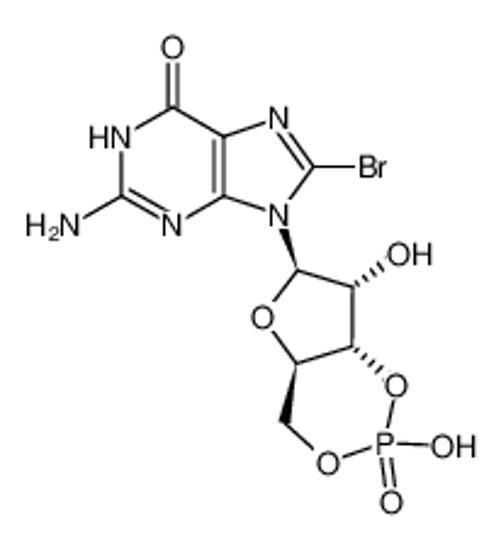 Picture of 8-bromo-3',5'-cyclic GMP