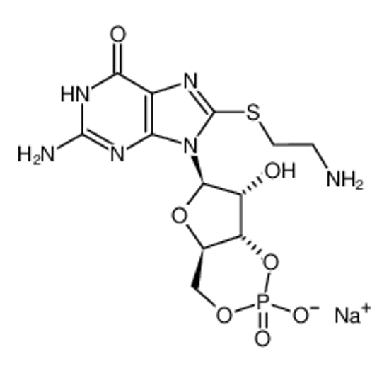 Imagem de 8-(2-AMINOETHYLTHIO) GUANOSINE-3',5'-CYCLIC MONOPHOSPHATE SODIUM SALT