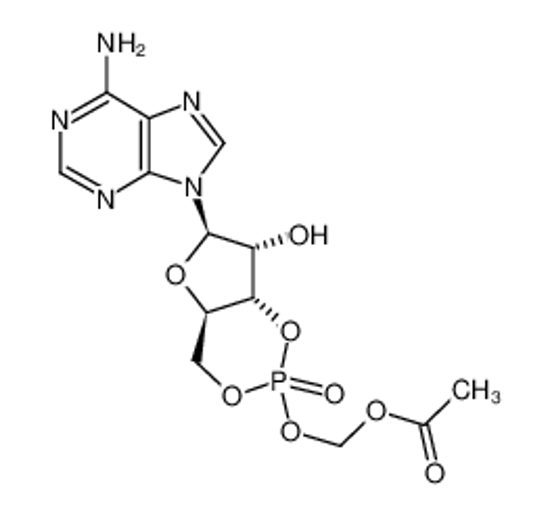 Picture of Adenosine 3′,5′-cyclic monophosphate acetoxymethyl ester