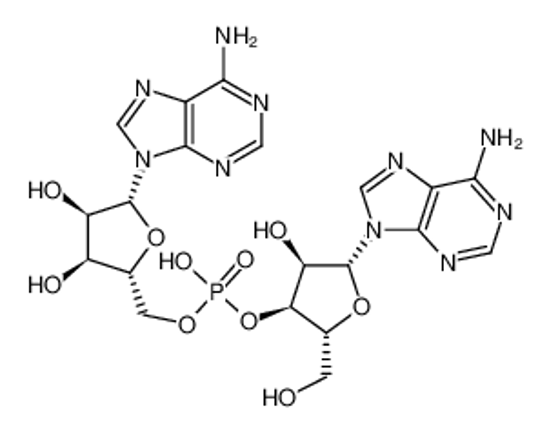 Изображение ADENYLYL(3'-5')ADENOSINE