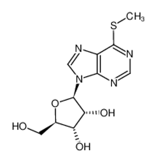 Picture of 6-methylthioinosine